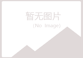 大新县飞槐能源有限公司